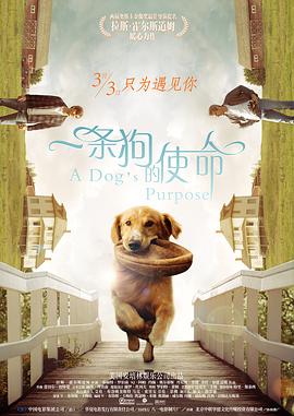 xxnx美女18